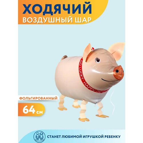 ���� ��������� ��� ������� ������ ������ ������ ������