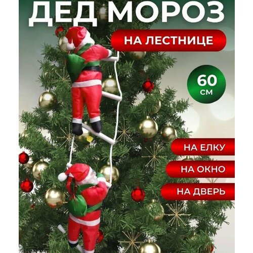 ���� ���������� ����������� ��� ����� �� �������� , ���������� ��������� �� ����, �����, ����, ����� 2025 ���,60 �� ������ ������