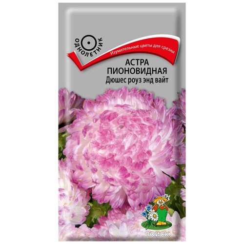 ���� ����� ����������� ����� ���� ��� ���� ������ ������