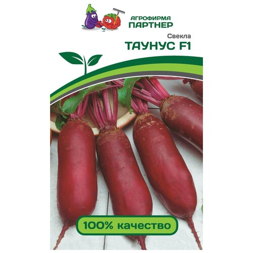 ���� ������� ������ 