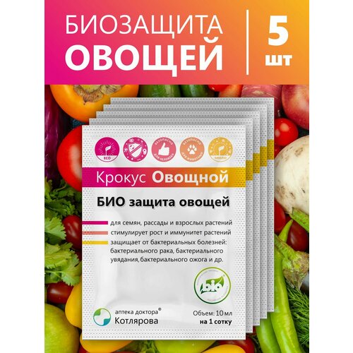 ���� ������ �������, 5 ��. ������ ������