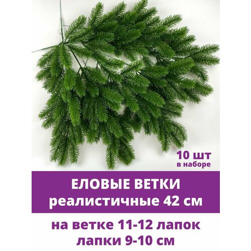 ���� ������ ����� �������������, 12 �����, 42 ��, ����� 10 ����� ������ ������