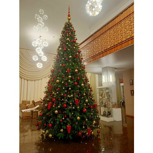 ���� ��� ������������� ����� 100% 