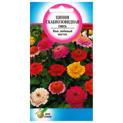 ���� ������ ��������������, 40 ����� ������ ������