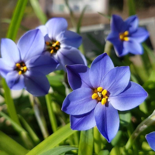 ���� ������ ������ 10 ��. ������ ������