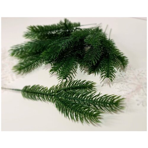 ���� ����� ������ �� ������������� ����� . ���� ������. ������ 25 ��. 10 �� ������ ������