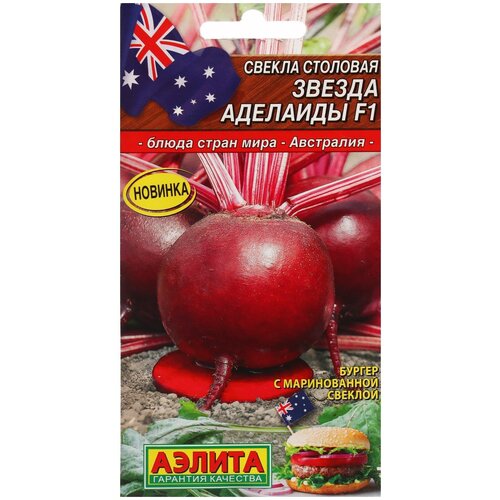 ���� ������ ������ 