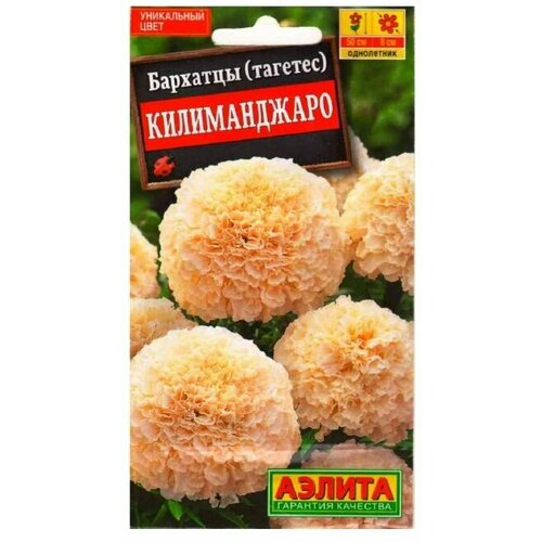 ���� �������� ������������ �������. 0,05��. (������) ������ ������