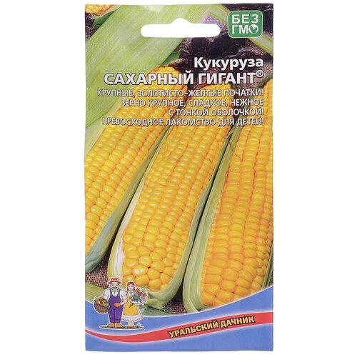 ���� ������ �������� 