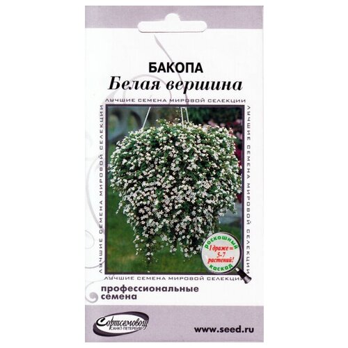 ���� ������ ����� �������, 3 ����� ������ ������