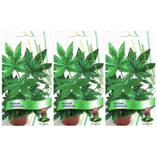 ���� ������ ��������� ��������. 3 ��������. ������ ��������. ��������� ����� ������ ������