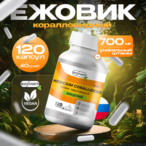 ���� ������ ������������� 700��, ������� ������ �������, hercium coralloides ������ ������