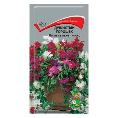 ���� �������� ������� ���� ������� ���� �����. 0,5��. (�����) ������ ������