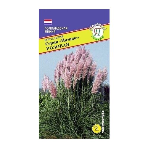 ���� ��������� ����� �������. ����������. ������. �����������. ������ �������� 2,5-3 �. �������� ���������� �� ������ � ������ ��� ���������� ���� ������ ������