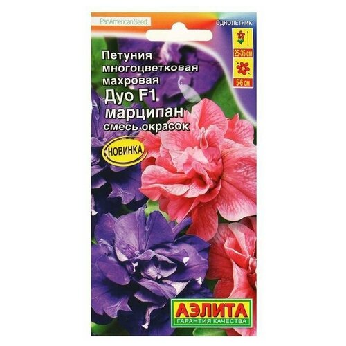 ���� ������ ������ ������� ��� �������� F1 �������������� ��������, ����� ������, 10�� ������ ������