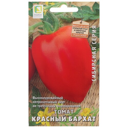 ���� ������ ����� ��������� ����� ����� ������� ������, 15 ��. ������ ������