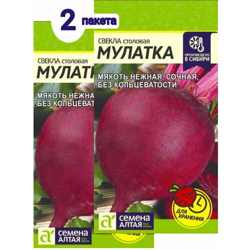 ���� ������ ����� ������� ������ ������