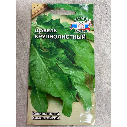 ���� ������ ������������� ������ ������