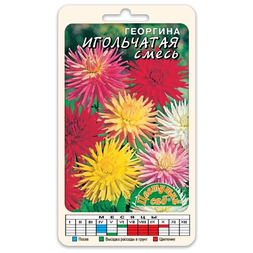 ���� ������ �������� ��� 