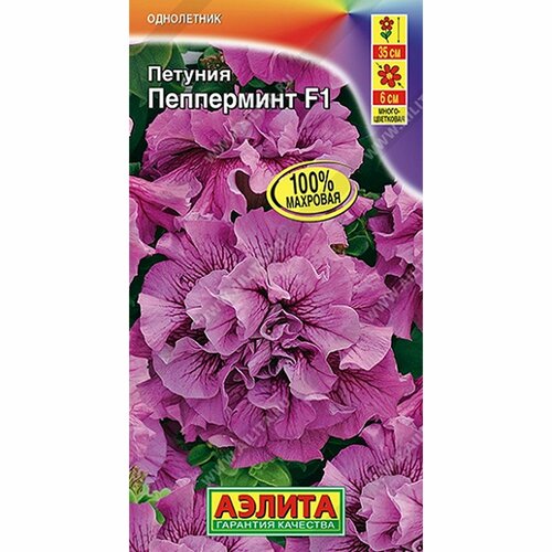 ���� ������ ������� ���������� F1 ����, ����������, (������) 5�� ������ ������