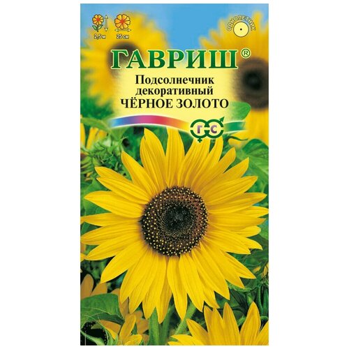 ���� ������ ������������ ������������ ������ ������, 0,5�, ������, ��������� ���������, 10 �������� ������ ������