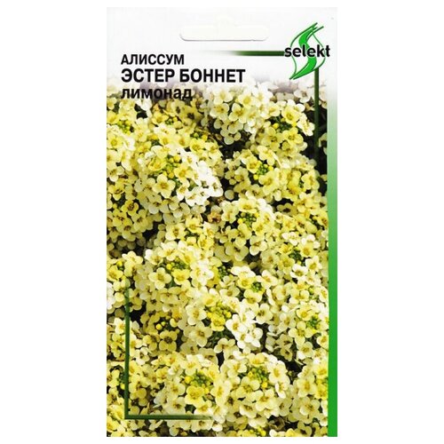 ���� ������� ����� ������, �������, 20 ����� ������ ������