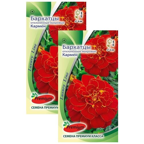 ���� �������� ����������� �������� ������ (0,3 �), 2 ������ ������ ������