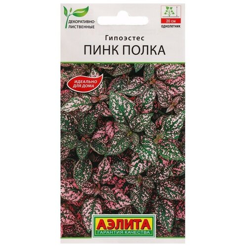 ���� ������ ������ ��������� 