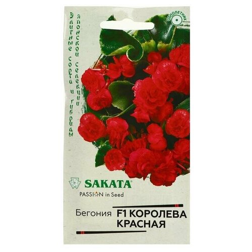 ���� ������. ������� 