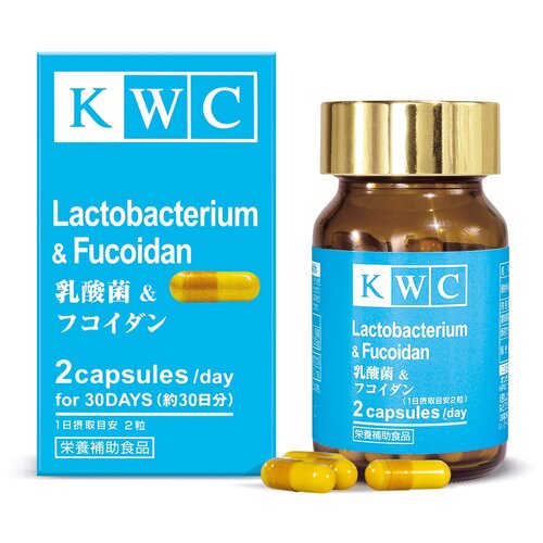 ���� KWC Lactobacterium & Fucoidan ����., 105 ��, 105 �, 60 ��., 1 ��. ������ ������