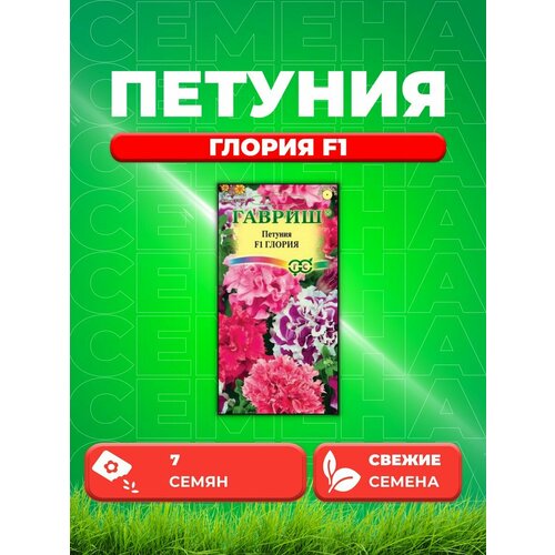 ���� ������� ��������������� ������ F1, �����, 7��, ������ ������ ������