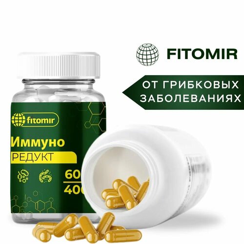 ���� ������������ �������� �� ������ ������ �� �����, �����, ��� ������ � ���������. 60 ������ ������ ������