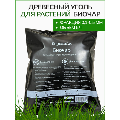 ���� ������ ��������� ����� �������� 5� �������������� ������ ������