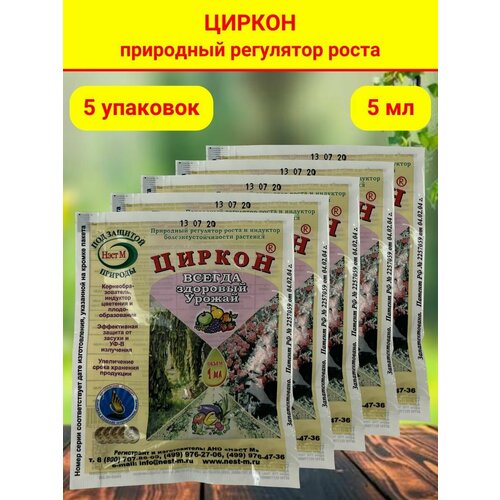 ���� ���������� ����� �������� � ����� ������� ������. �������� 1 ������ 1 ��. 5 �������� ������ ������