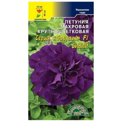 ���� ������ �������� ��� 