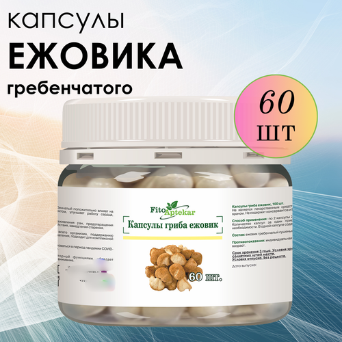 ���� ������ ���� ����������� � �������� ����-��������, ����������� ������� ������� 60 �� ������ ������