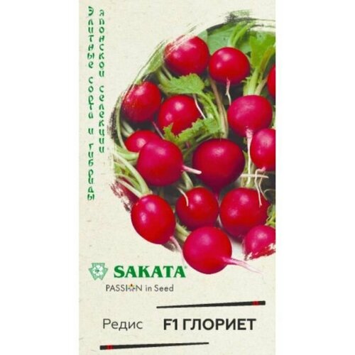 ���� ������. ����� 