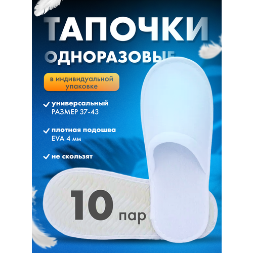 ���� ������� �����������, ����� ��� ��������, 10 ��� ������ ������