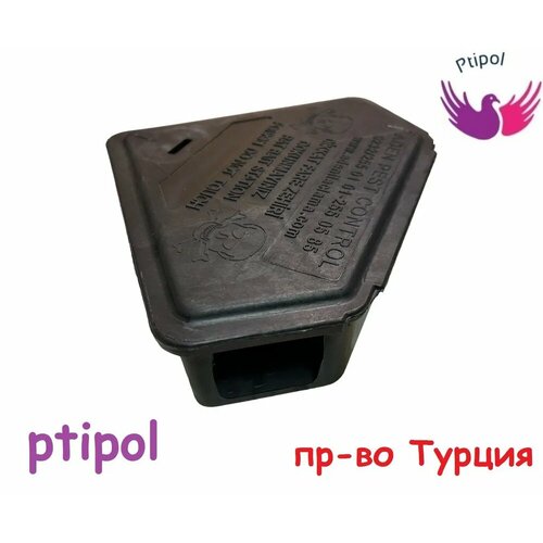            Ptipol   -     , -, 