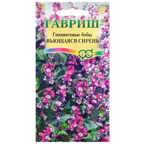 ���� ������ ������ ������� (����������� ����) 