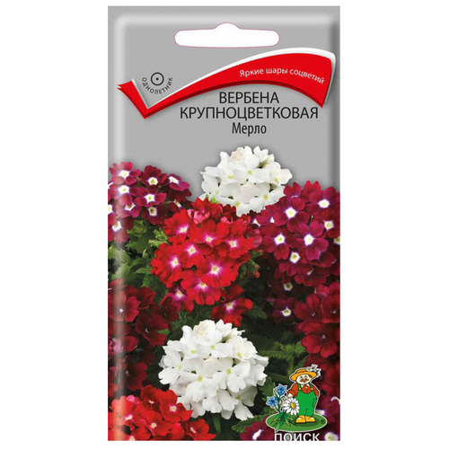 ���� ������ ������� ��������������� ����� ����� ������ ������