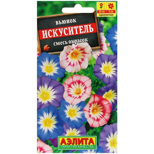 ���� ������ ��������� ������ ������ ���������� �����, 1 � ������ ������