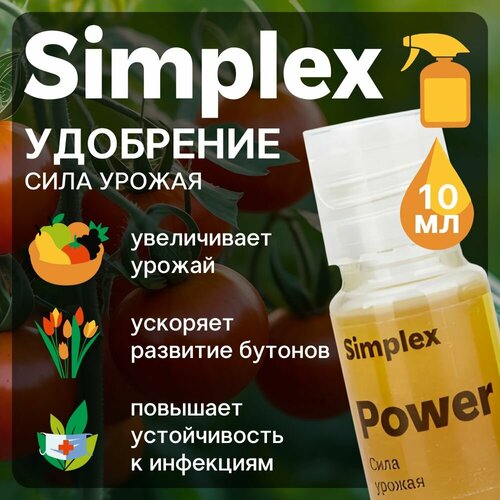 ���� ���������� Simplex Power 10 ��. ������ ������