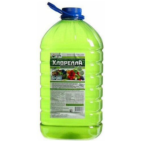 ���� ������������� �������� �������� ����� � ������ ��� ��������, ������ � ������� (���������) �������� 5 �. ������ ������