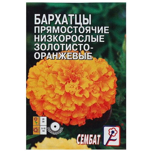 ���� ������ ������ �������� ������������ ����������� ���������-���������, �, 0,1 � ������ ������