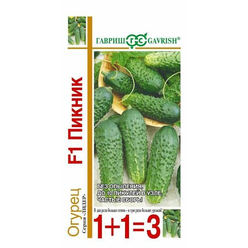 ���� ������ ������ ������ F1 20�� ������������������ ������ (������) 1+1 ������ ������