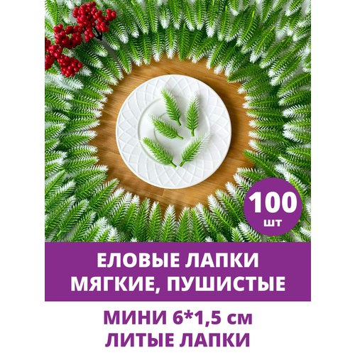 ���� ������ ����� �������������, ����-�������, ����, ����� ������, ��������������, 5,5-6 ��, 100 ���� ������ ������