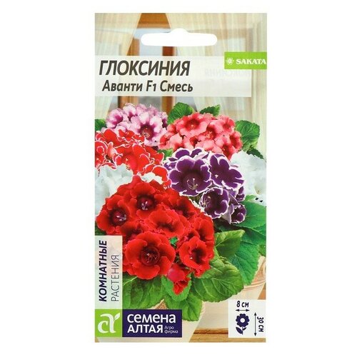 ���� ������ ��������� ������ ��������� 