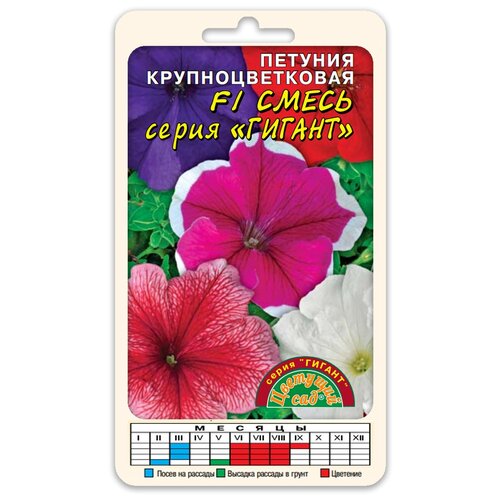 ���� ������ �������� ��� 