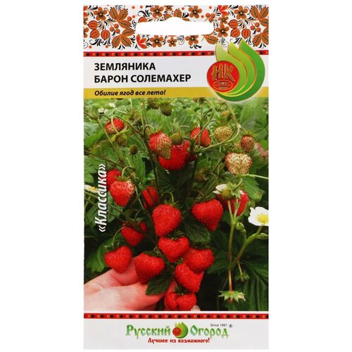 ���� ������ ��������� 